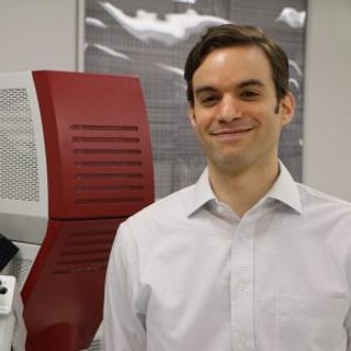 Domenic Forte